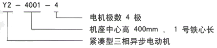 YR系列(H355-1000)高压YJTG-225S-8A/18.5KW三相异步电机西安西玛电机型号说明